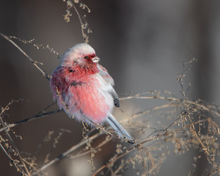 Similar image 21789552