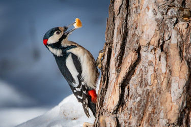 Similar image 21789557