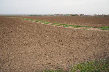 Similar image 21806940