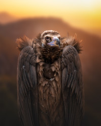 Similar image 21789559