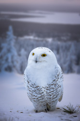 Similar image 21789560