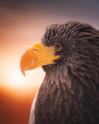 Similar image 21789562