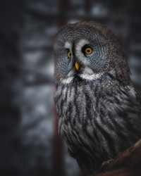 Similar image 21789568