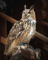 Similar image 21789569