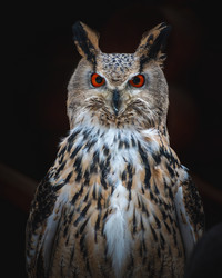 Similar image 21789570