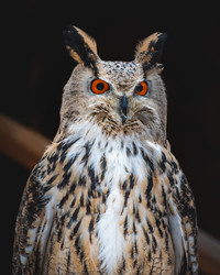 Similar image 21789571