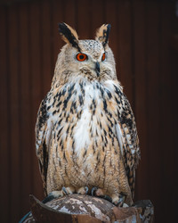 Similar image 21789573