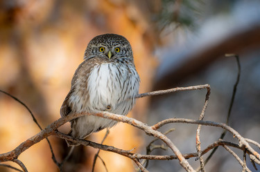 Similar image 21789576