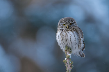 Similar image 21789577