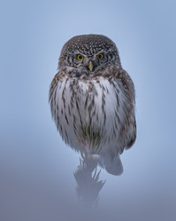 Similar image 21789578