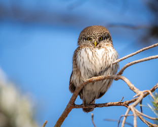 Similar image 21789580