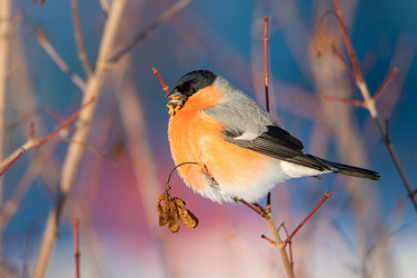 Similar image 21789583