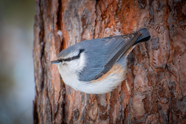 Similar image 21789586