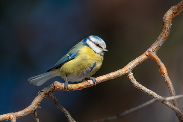 Similar image 21789590