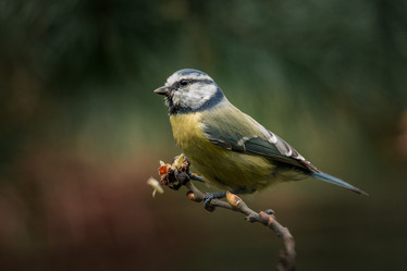 Similar image 21789592