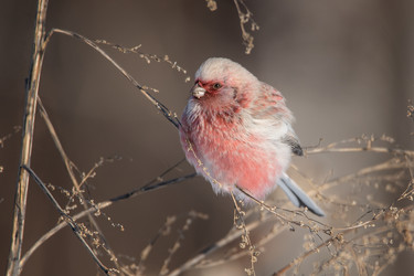 Similar image 21789593