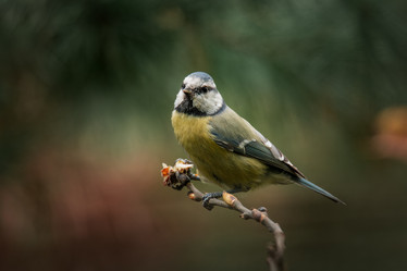 Similar image 21789594