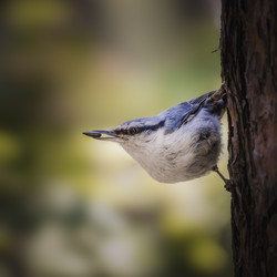 Similar image 21789595