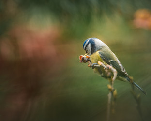 Similar image 21789596