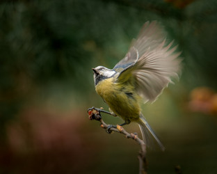 Similar image 21789598