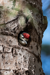 Similar image 21789600