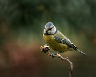 Similar image 21789601