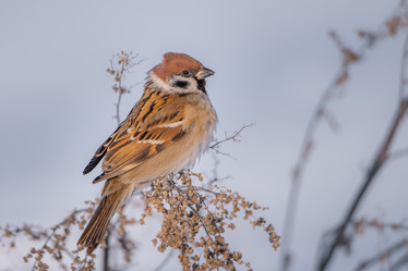 Similar image 21789603