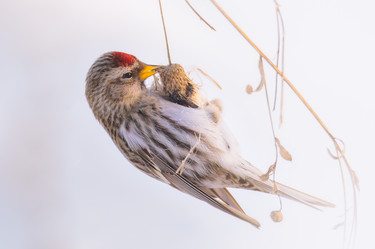 Similar image 21789604