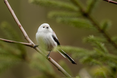 Similar image 21789607