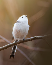 Similar image 21789608