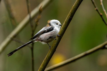 Similar image 21789609