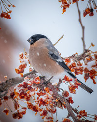 Similar image 21789610