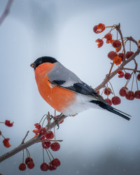 Similar image 21789612