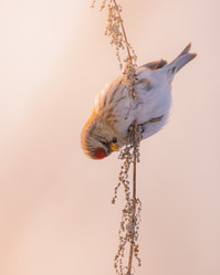 Similar image 21789614