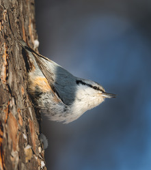 Similar image 21789618