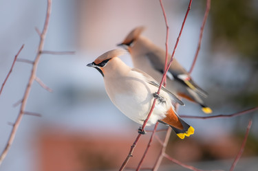 Similar image 21789619