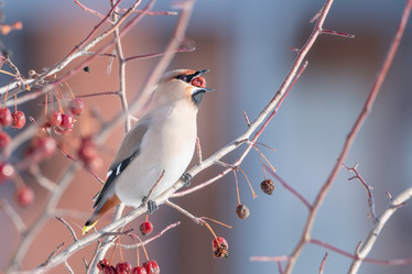 Similar image 21789621