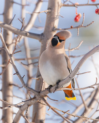 Similar image 21789622