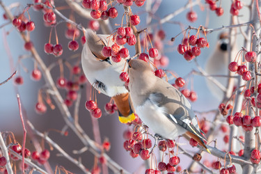 Similar image 21789623