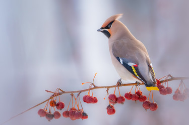 Similar image 21789625