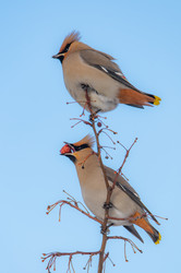 Similar image 21789626