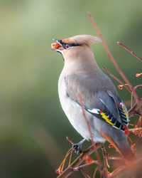 Similar image 21789627