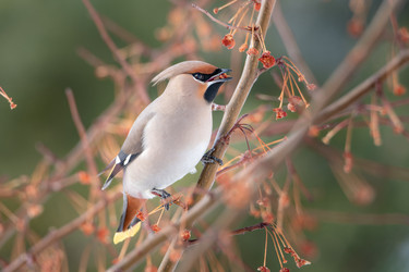 Similar image 21789628