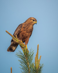 Similar image 21789629