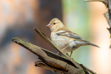 Similar image 21789631