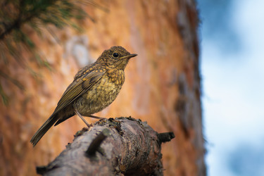 Similar image 21789632