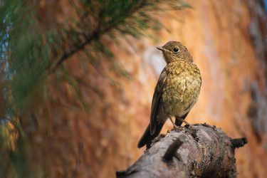 Similar image 21789633