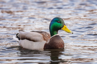 Similar image 21789634