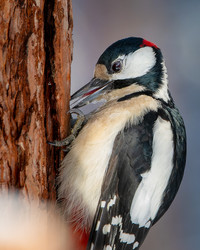 Similar image 21789635