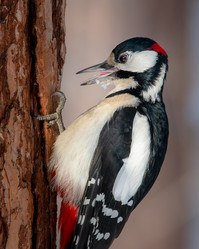 Similar image 21789636